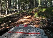 88 Sono sceso dal sent. 118 del Passo di Monte Colle
